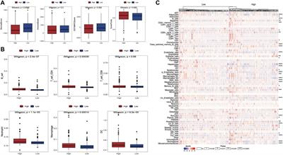 Construction and validation of a prognostic marker and risk model for HCC ultrasound therapy combined with WGCNA identification
